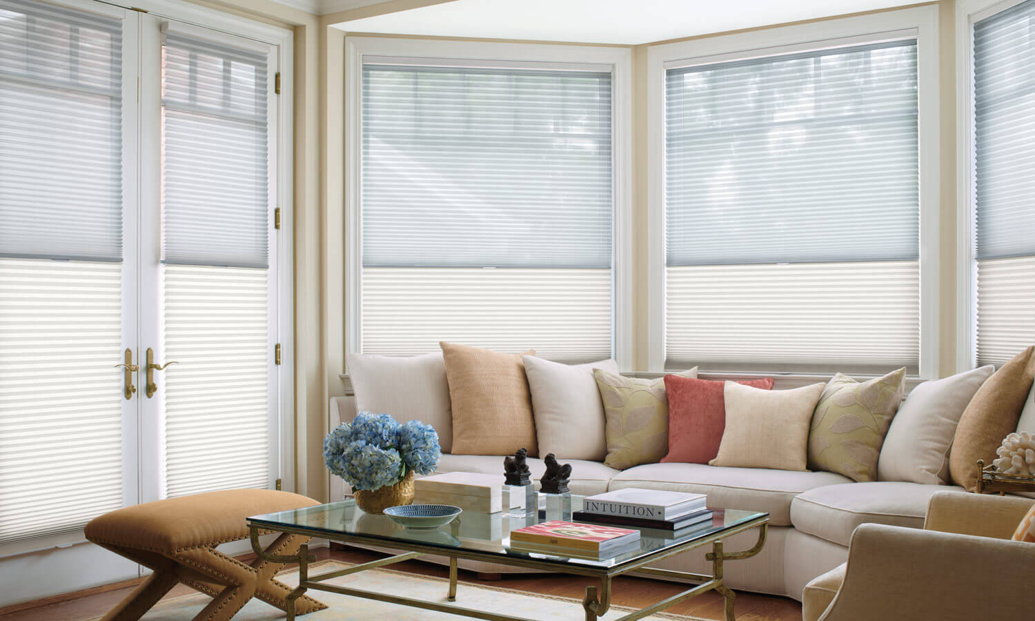 Window Blinds & Shades