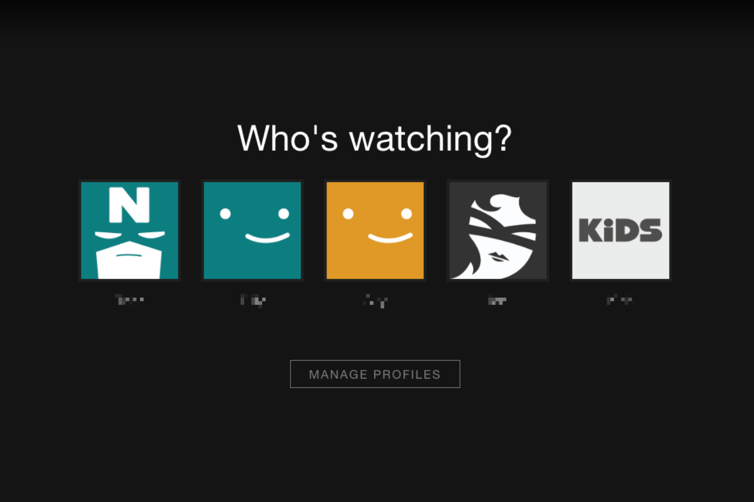 Netflix User