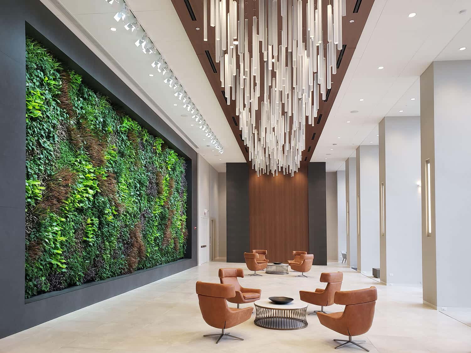 What Are Biophilic Designs and Why Are They Growing in Popularity?