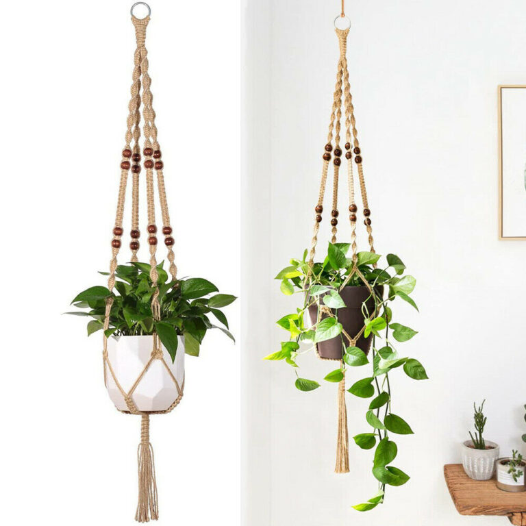 8 Beautiful DIY Plant Hanger Ideas to Adorn Your Home Live Enhanced