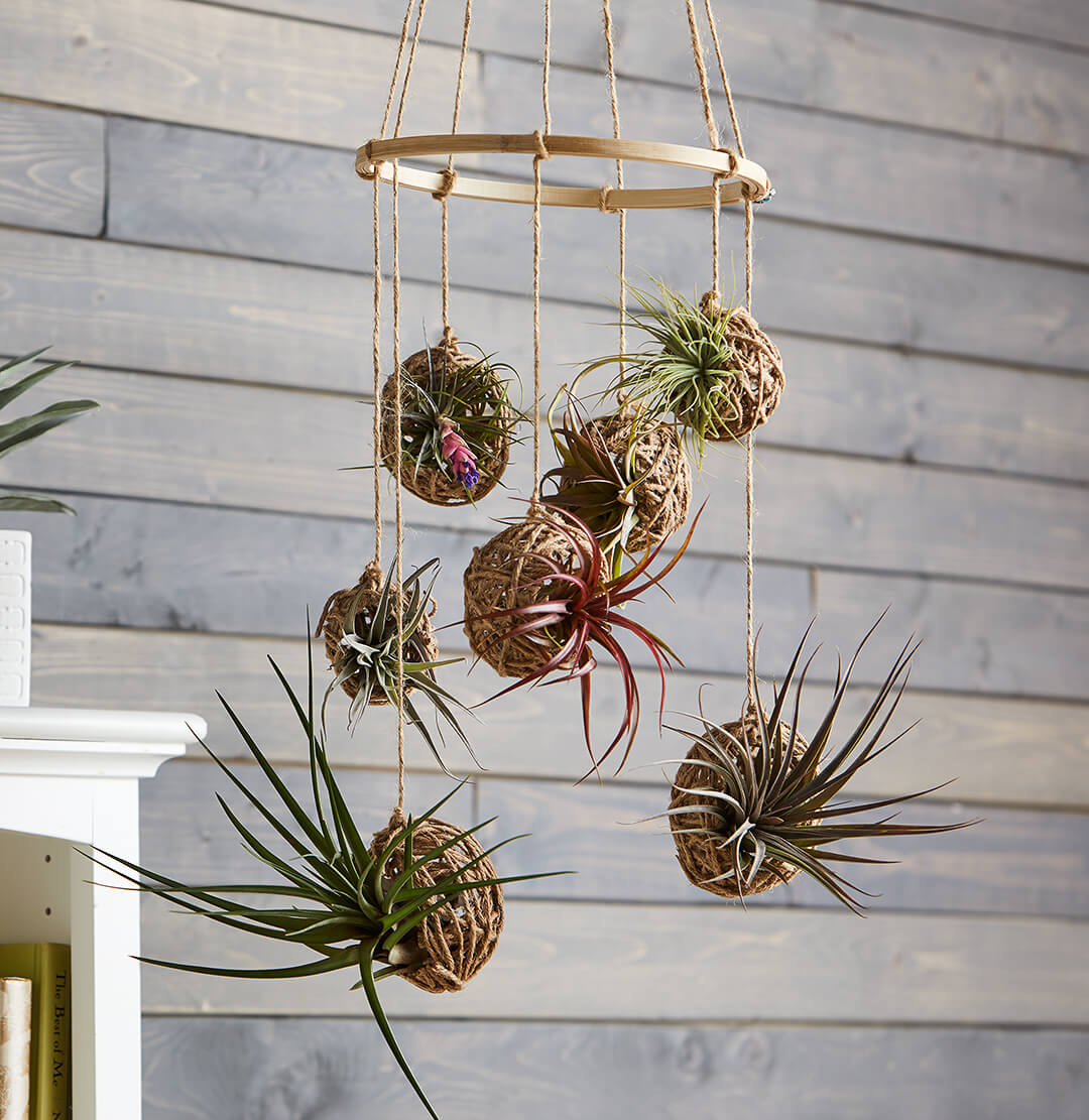 DIY plant hanger 