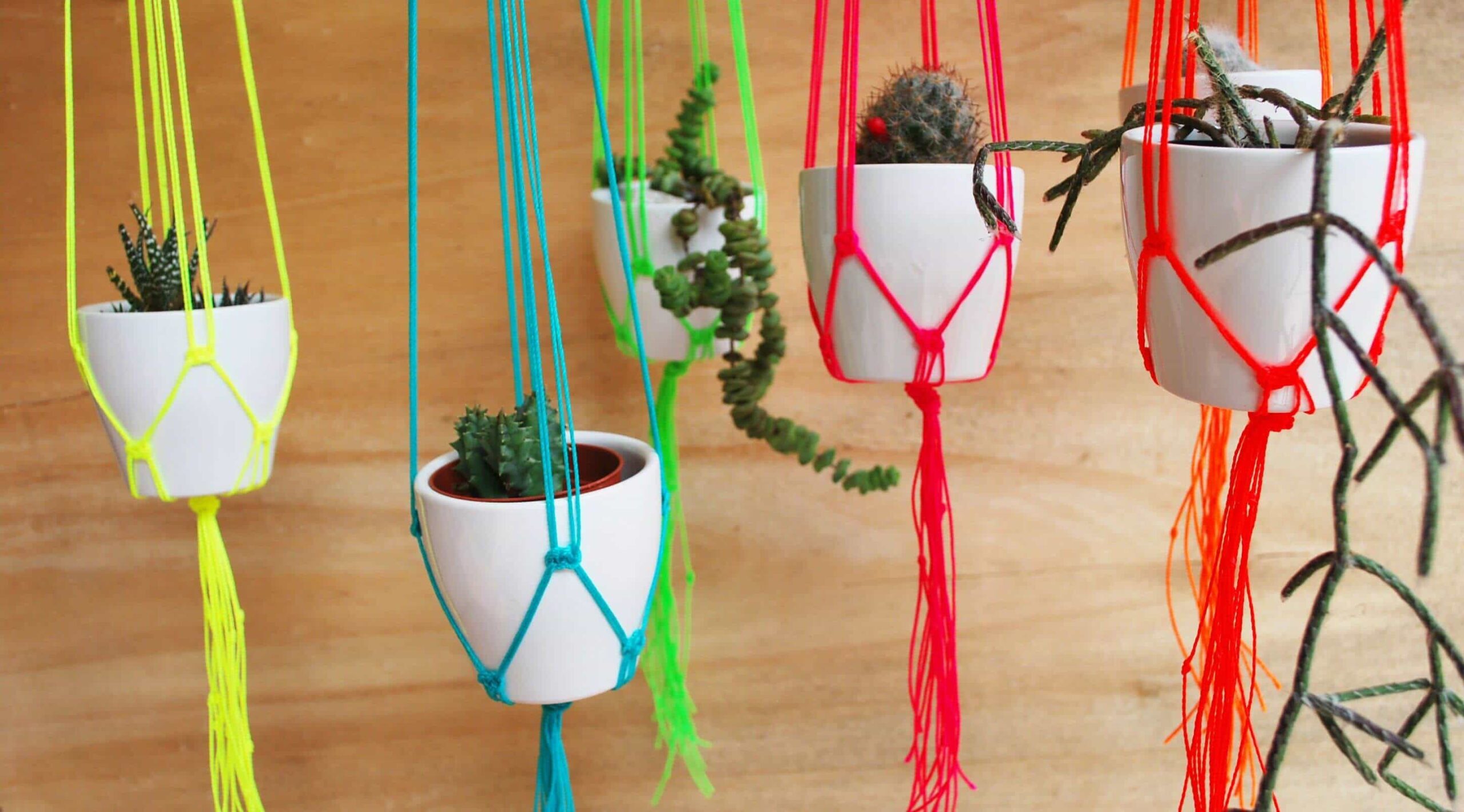 DIY plant hanger 