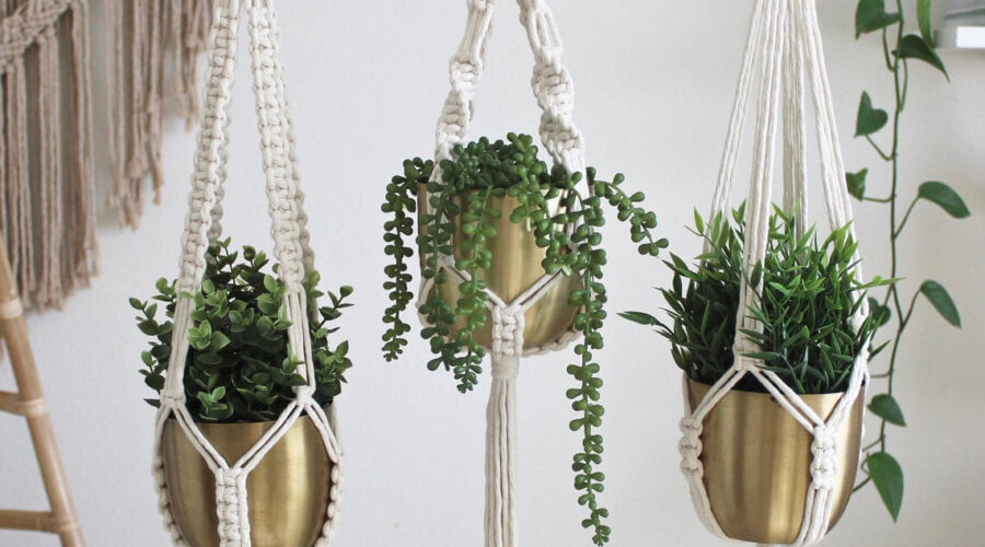 DIY plant hanger