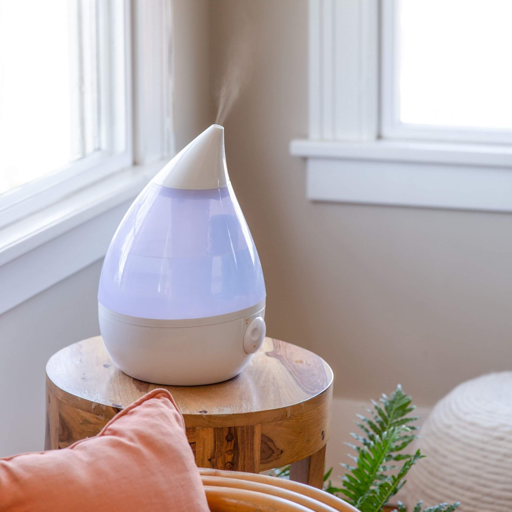 Humidifier