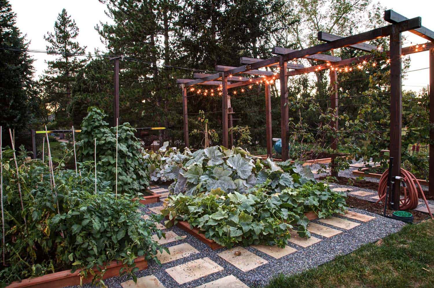 Tips and Tricks for an Amazing Garden