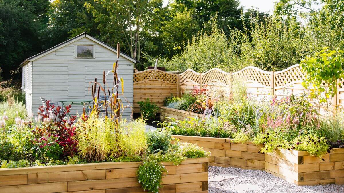Tips and Tricks for an Amazing Garden
