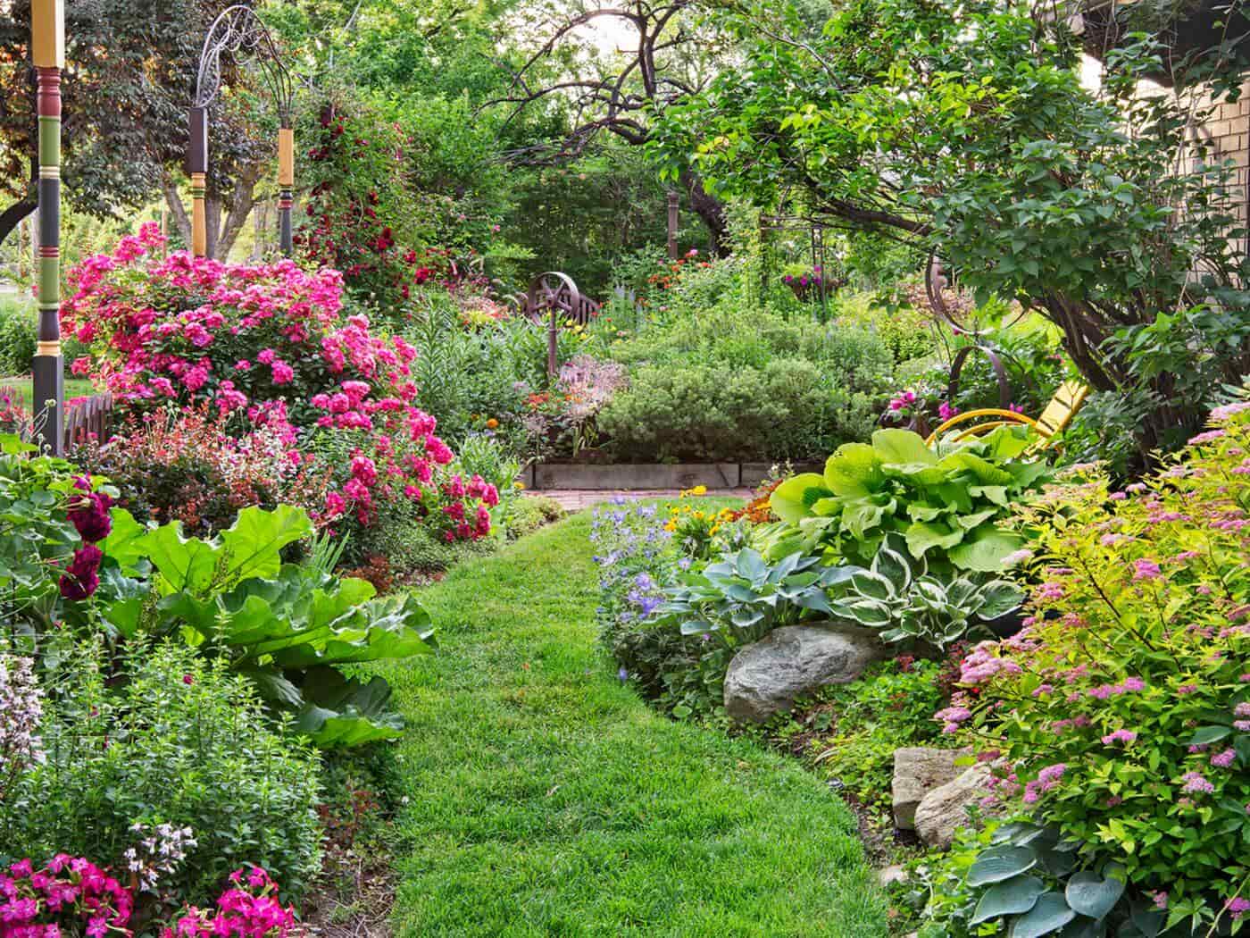 Tips and Tricks for an Amazing Garden