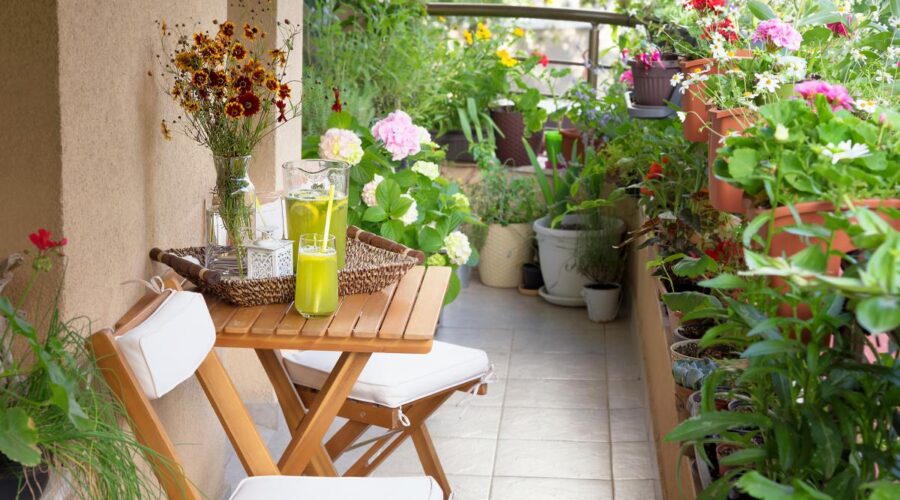 Tips and Tricks for an Amazing Garden