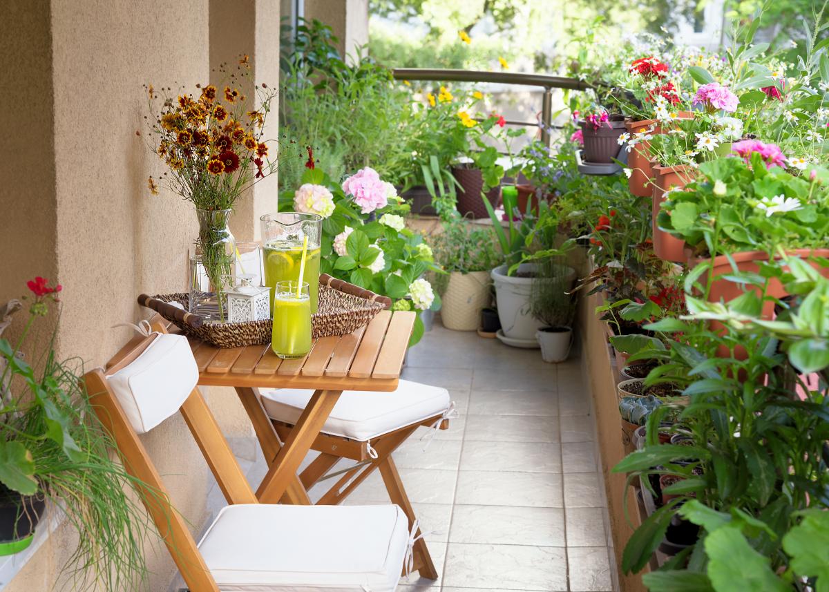 Tips and Tricks for an Amazing Garden