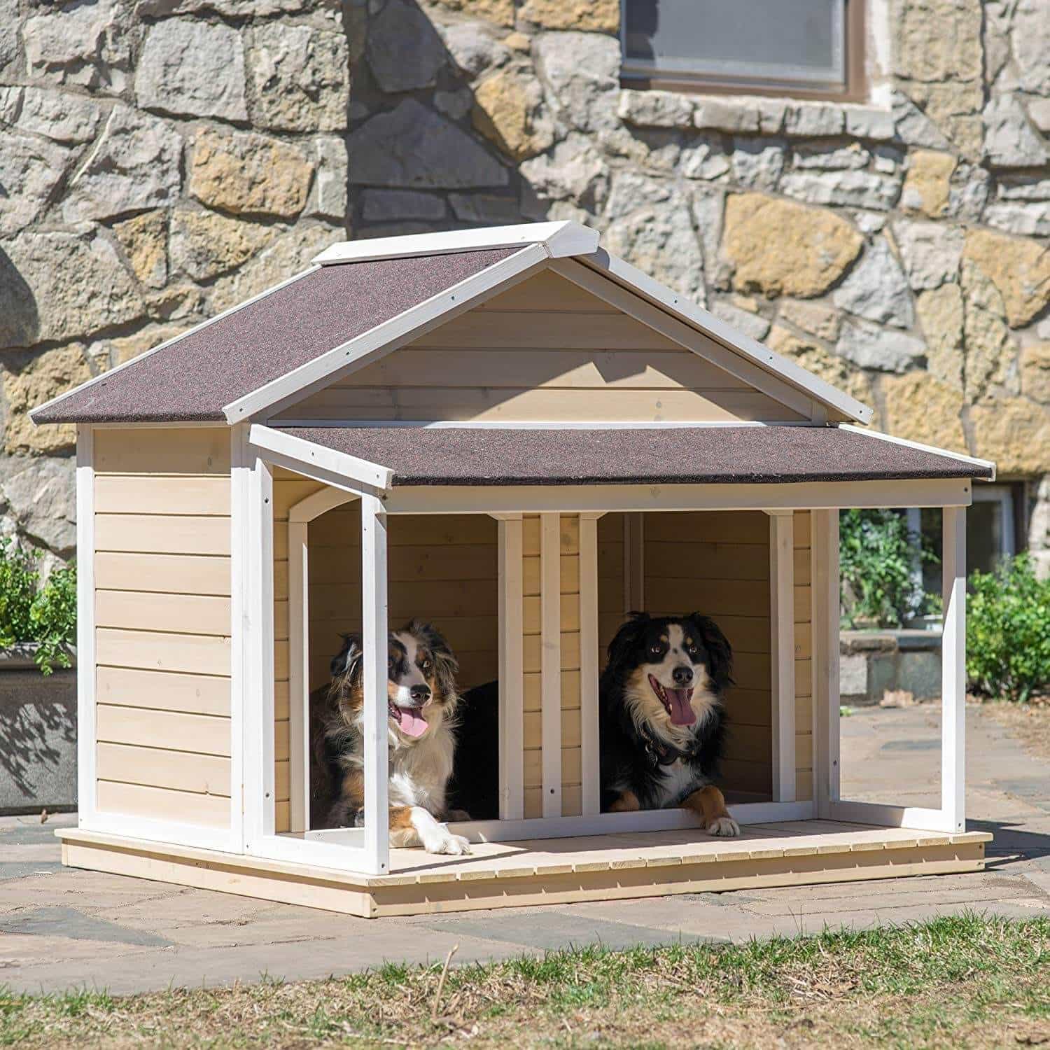 dog house 