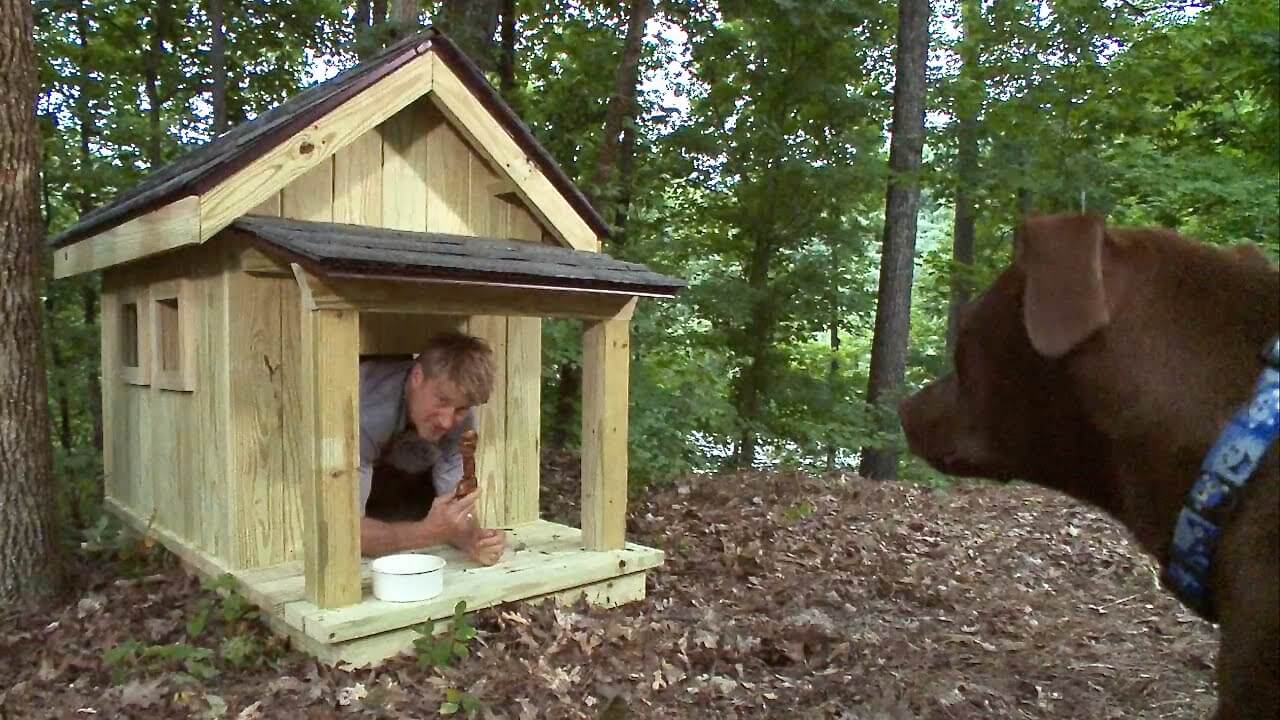 dog house 