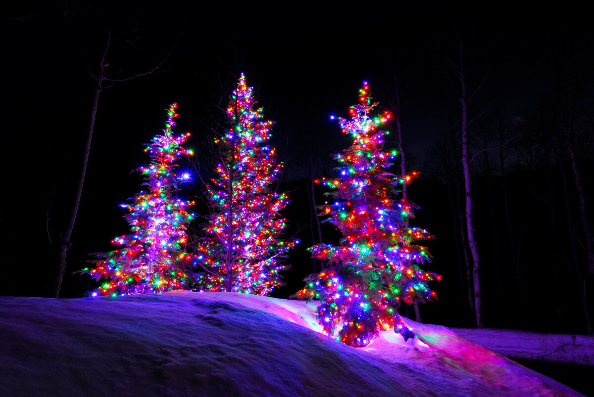 LED Christmas Lights 