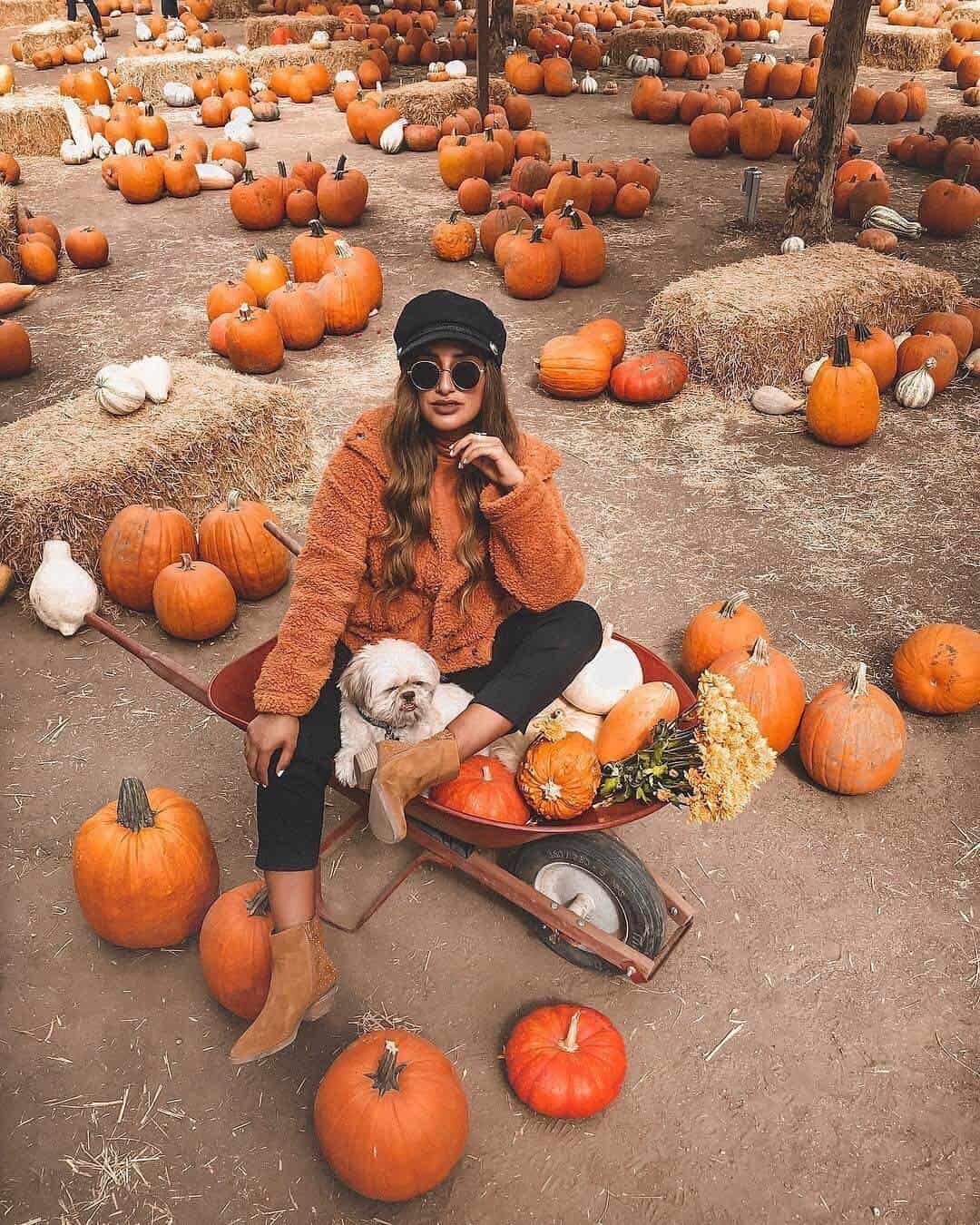 pumpkin patch outfit ideas 