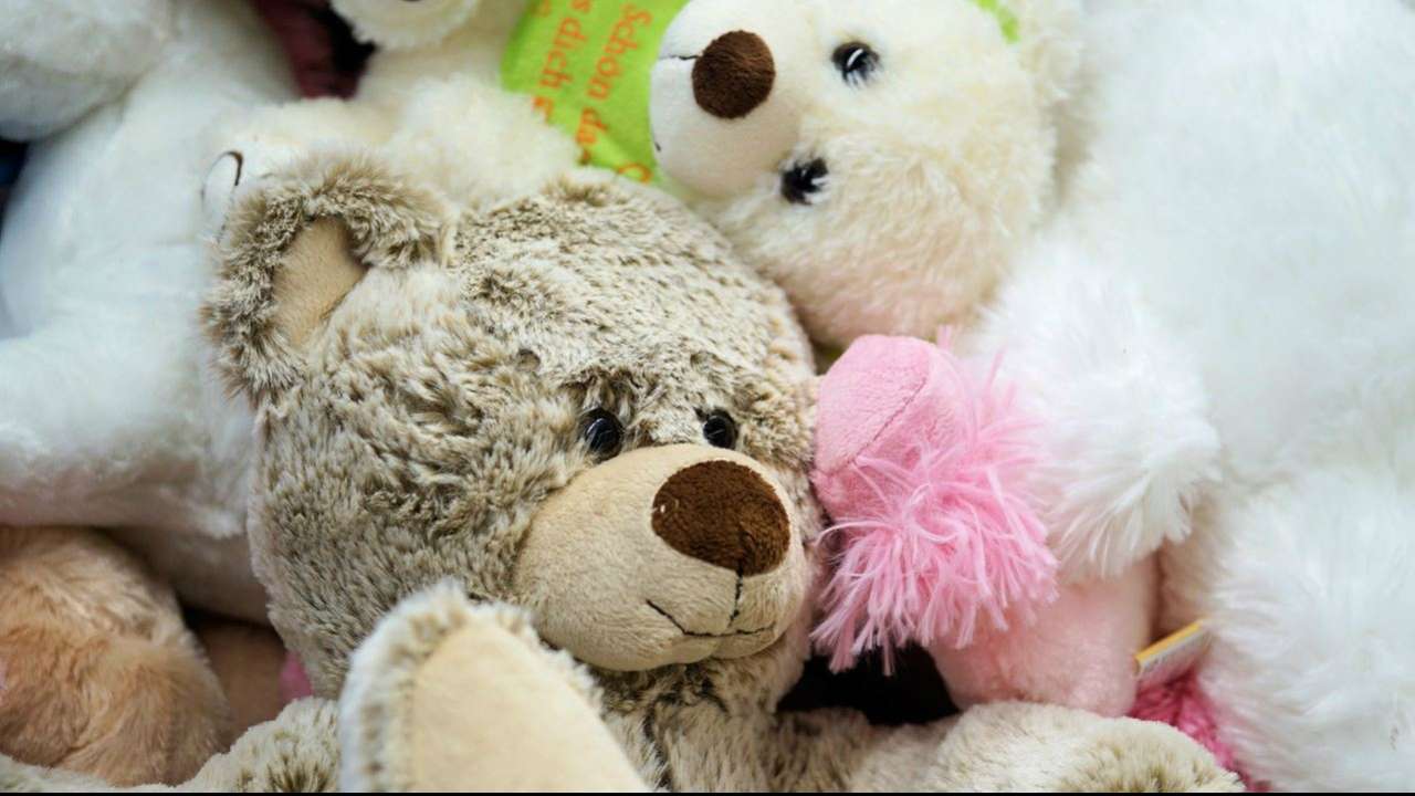 Teddy day 