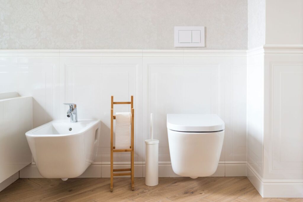 What Countries Use Bidets?