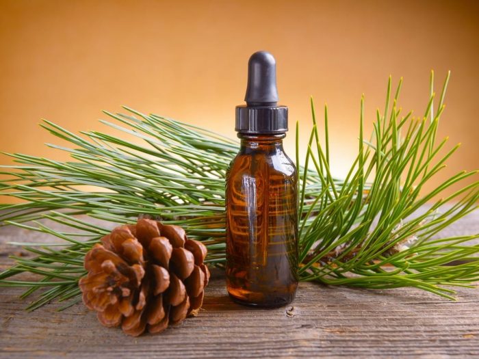 Benefits of Pine Essential Oil 