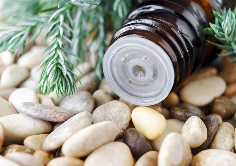 Benefits of Pine Essential Oil 