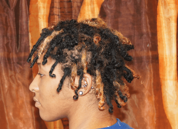 Short Braided dread styles for males