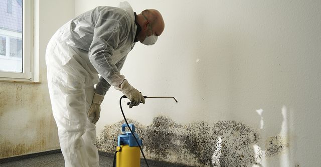 Find Mold Remediation and How to Resolve the Issue 