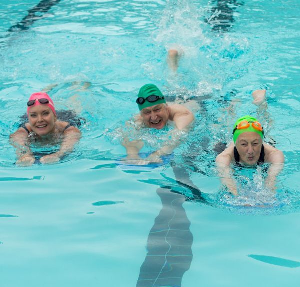 learn to swim adults 