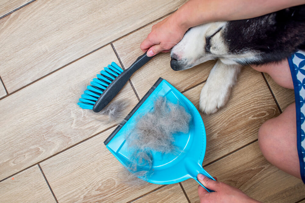 How-do-you-decorate-a-dog-house