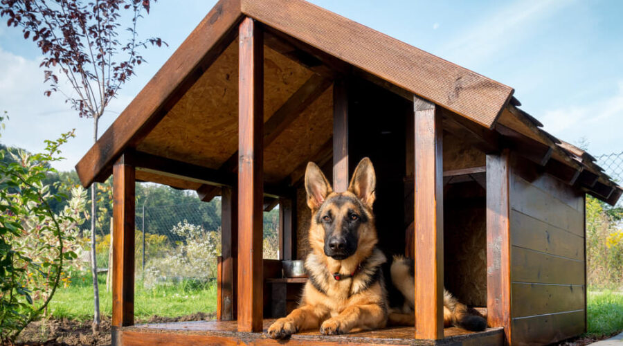 How-do-you-decorate-a-dog-house