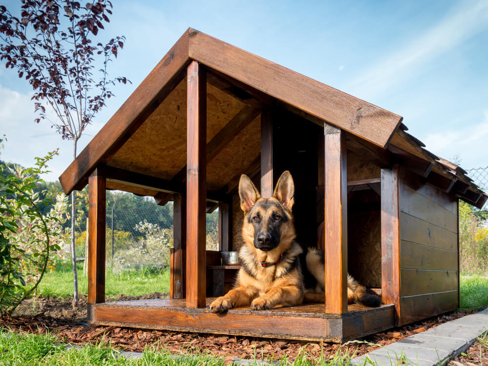 How-do-you-decorate-a-dog-house