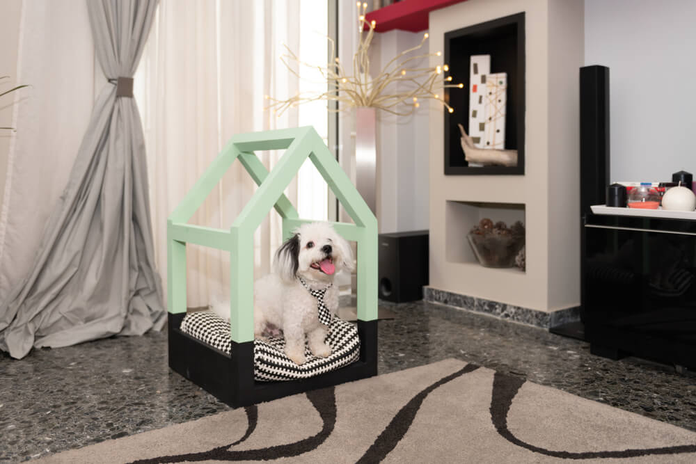 How-do-you-decorate-a-dog-house