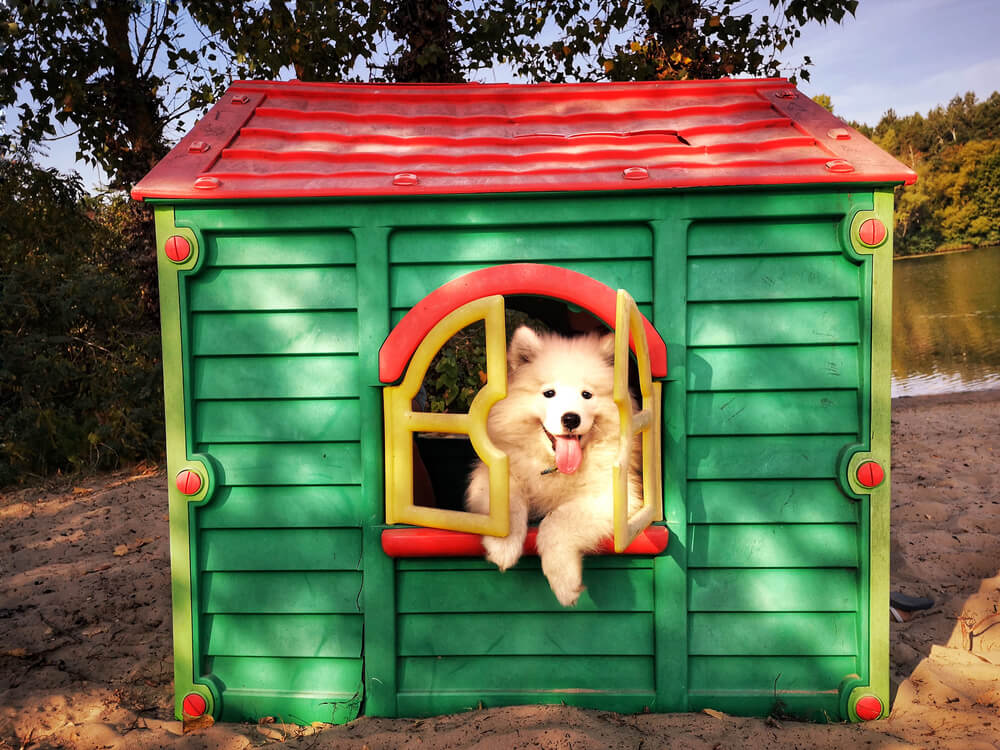 How-do-you-decorate-a-dog-house