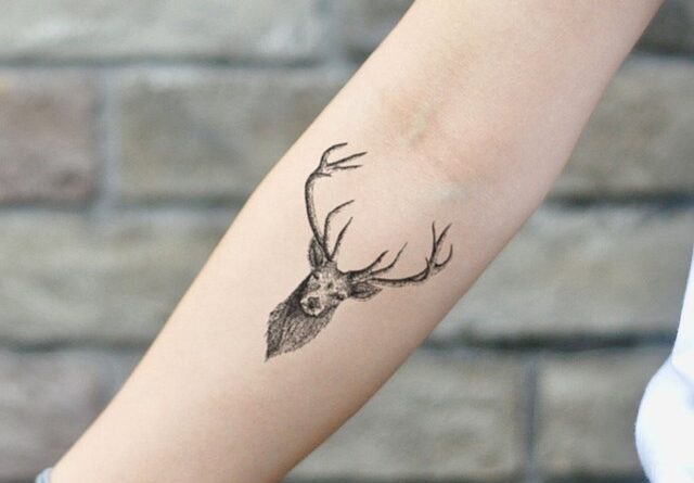 PAPERCUT CHRONICLES  Picture tattoos Stag tattoo Incredible tattoos