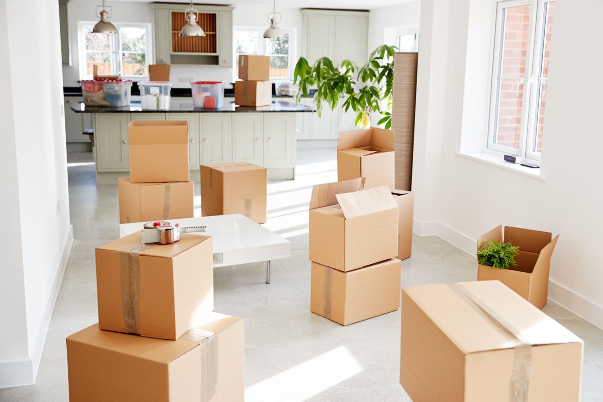 Best Moving Companies in Orlando 