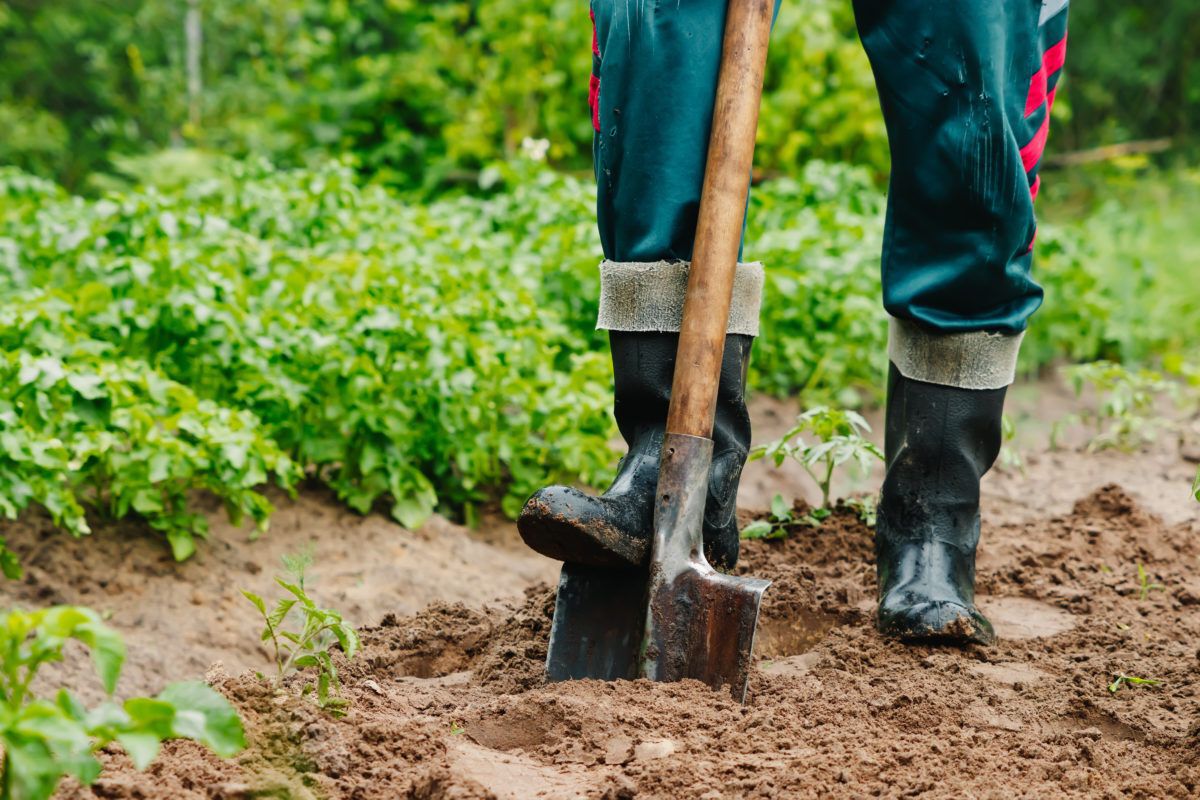 Cultivate the Soil Without a Cultivator by Double Engraving 