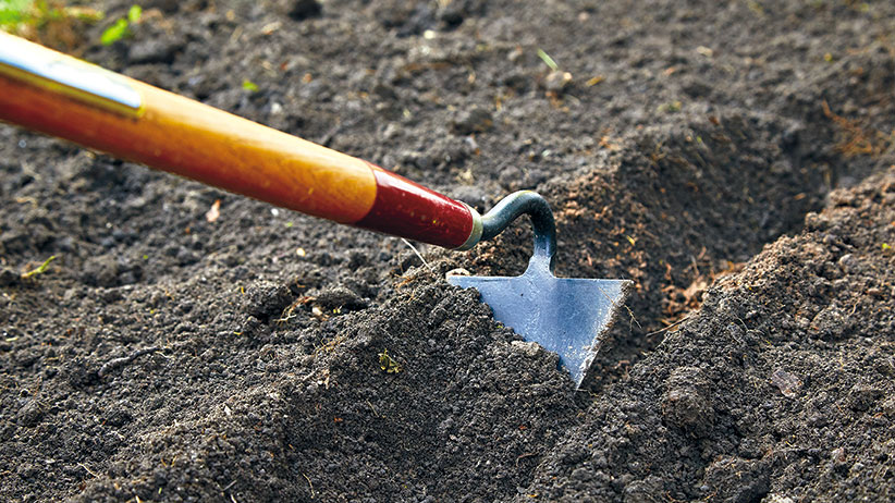 Gardening Tools 