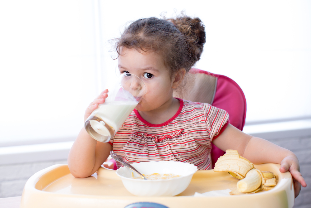 Is Protein Powder Safe for the Little ones 