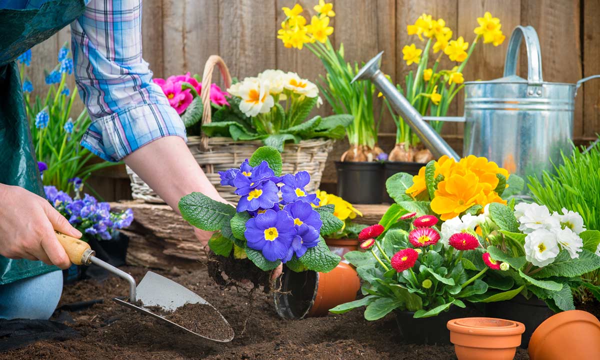 Spring Gardening Tips 
