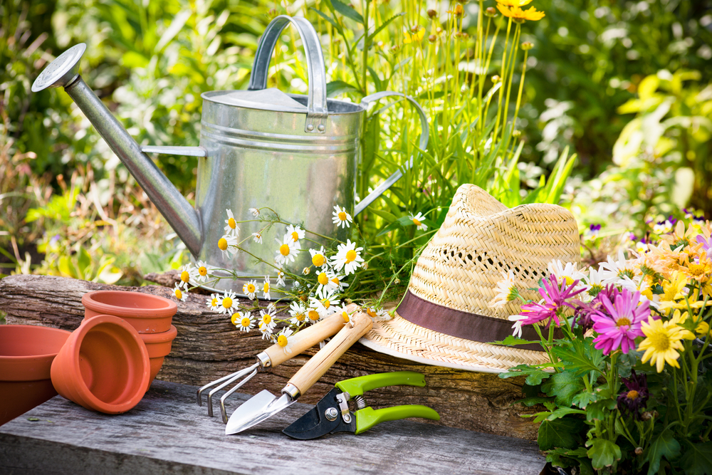 Spring Gardening Tips 