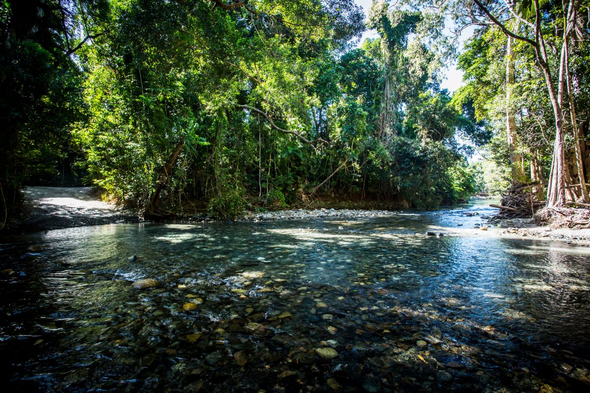 DaintreeRiverCrossingQueenslandAustraliaByFILEDimage