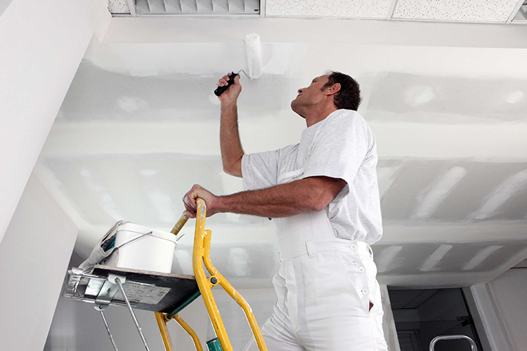 Hire Professional Painters 