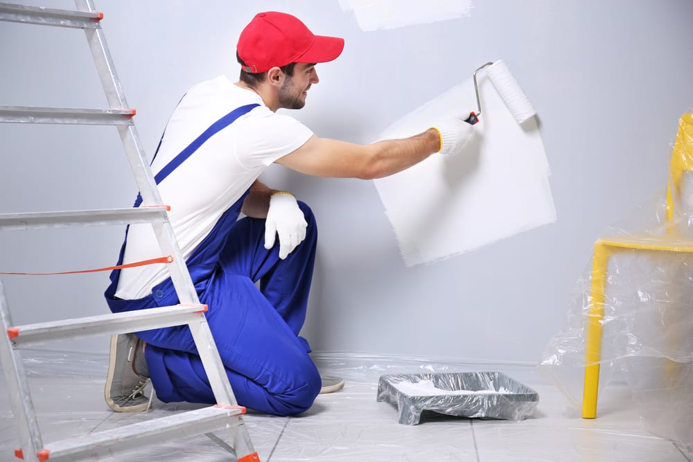 Hire Professional Painters 