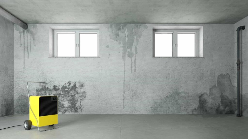 How to Stop Damp in Basement? Live Enhanced