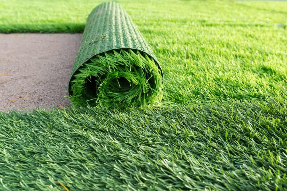 Artificial Grass or Turf 