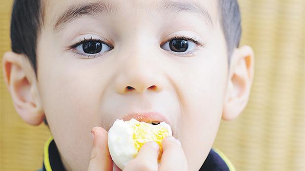 Egg Allergy in Children 