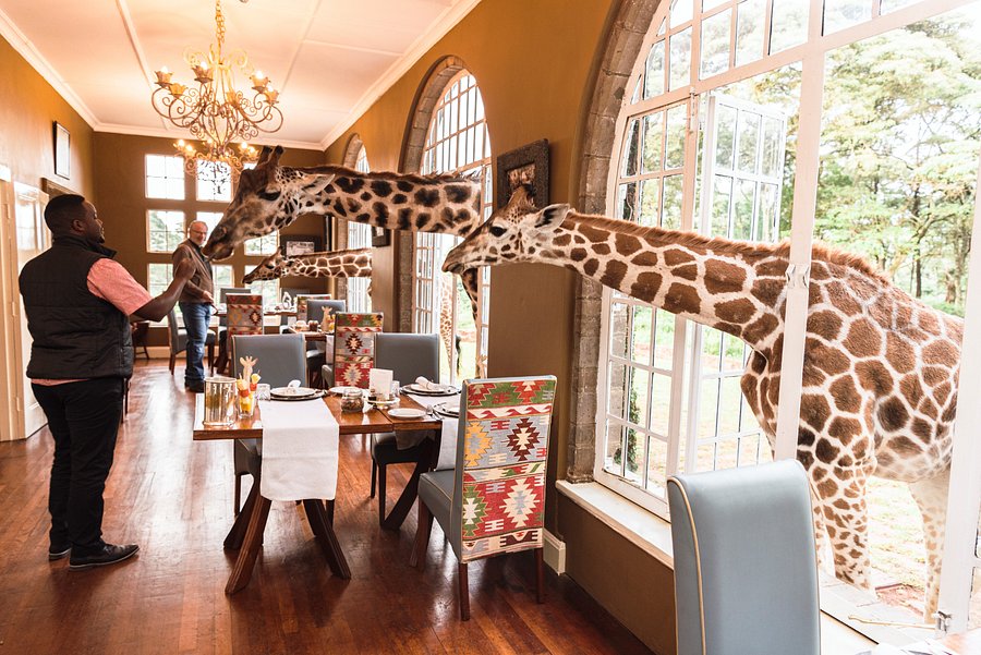 Giraffe Manor,  Kenia 
