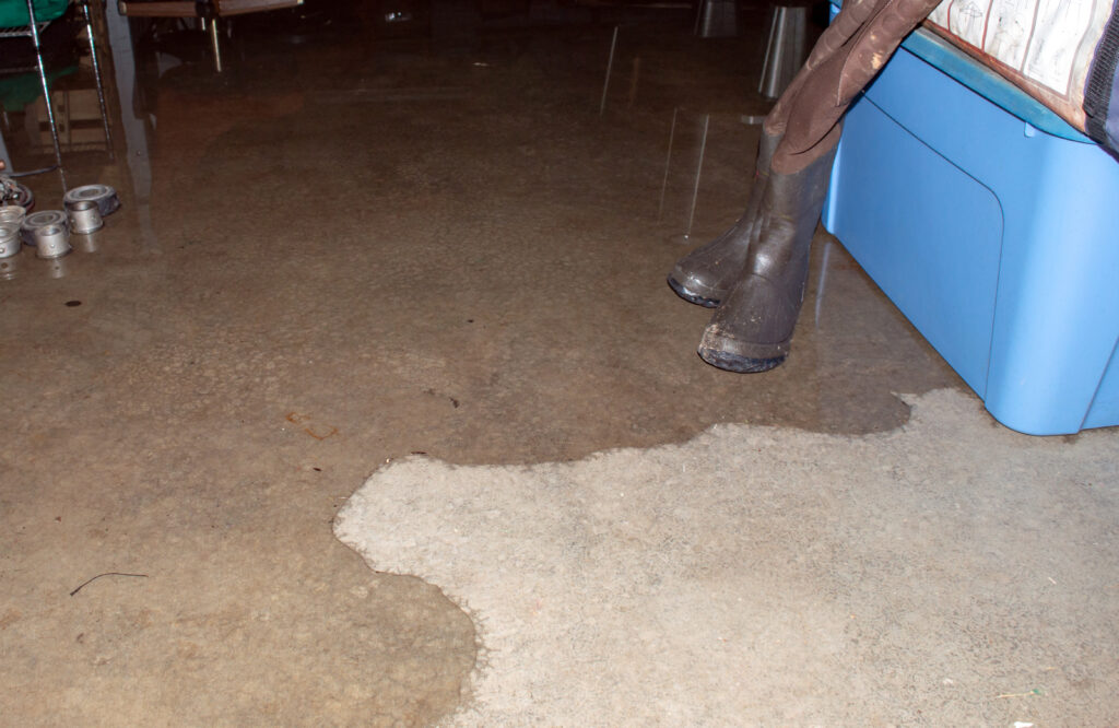 Discovering a Flooded Basement 