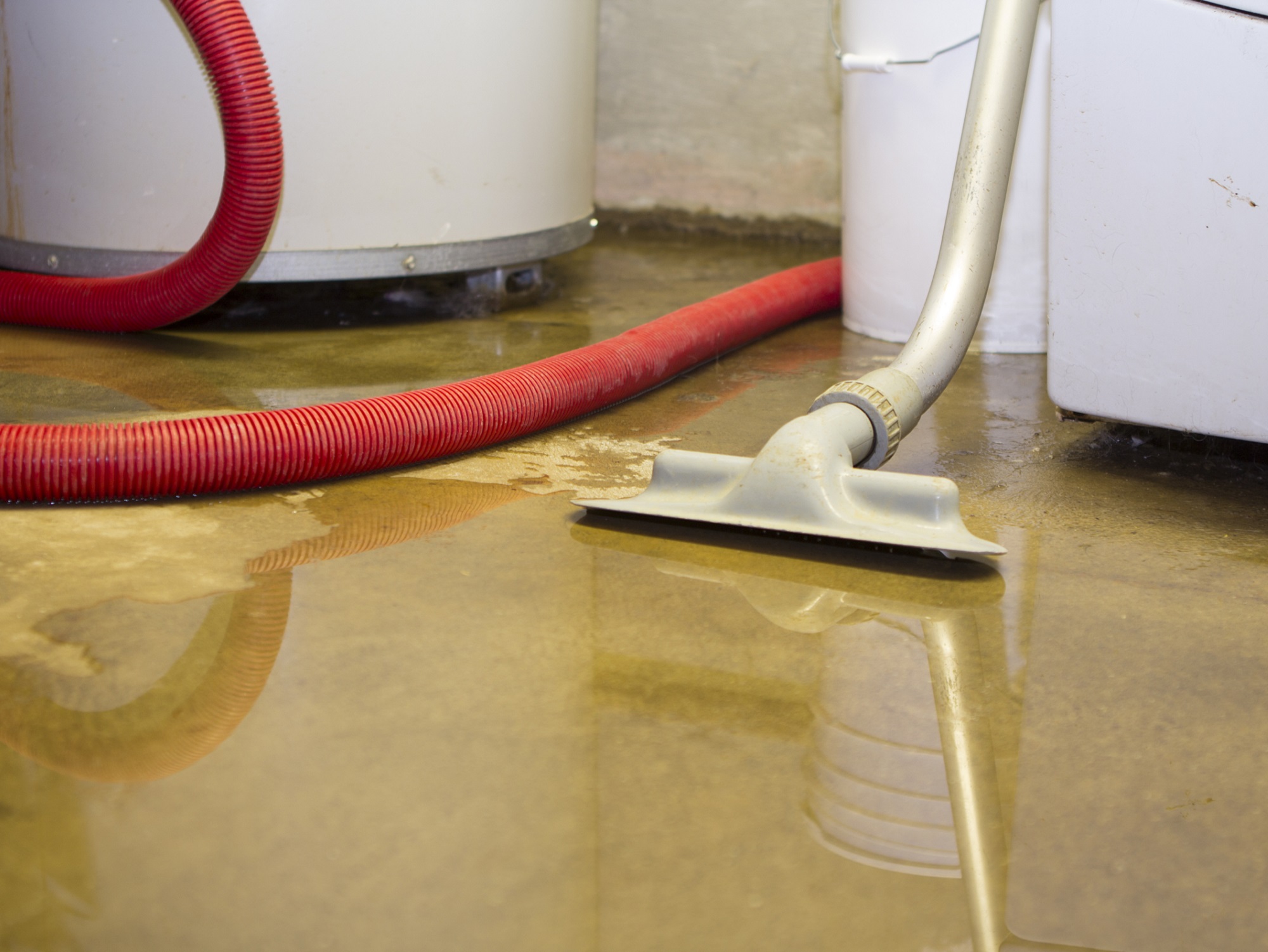 Discovering a Flooded Basement 