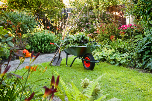 Beneficial Tips for your Garden 