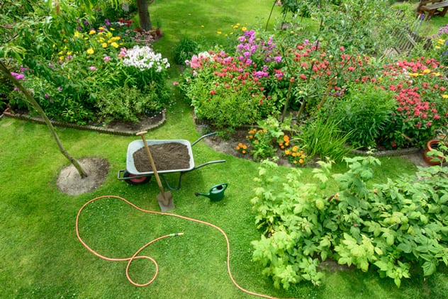 Beneficial Tips for your Garden 
