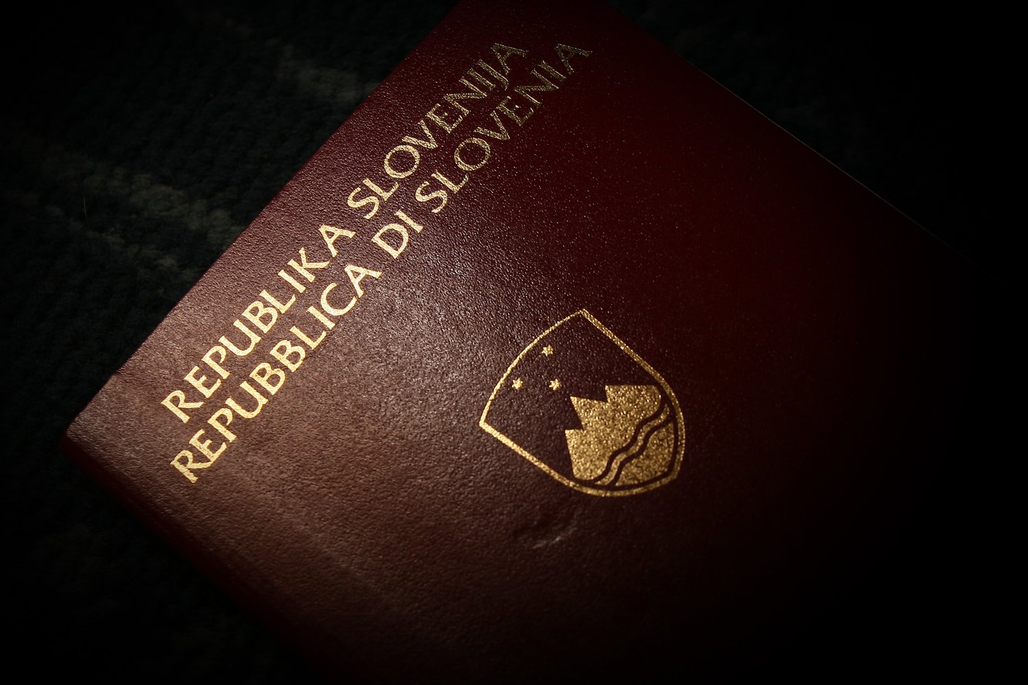 Slovenian Citizenship by Repatriation with the Support of the Lawyers of Citizens 