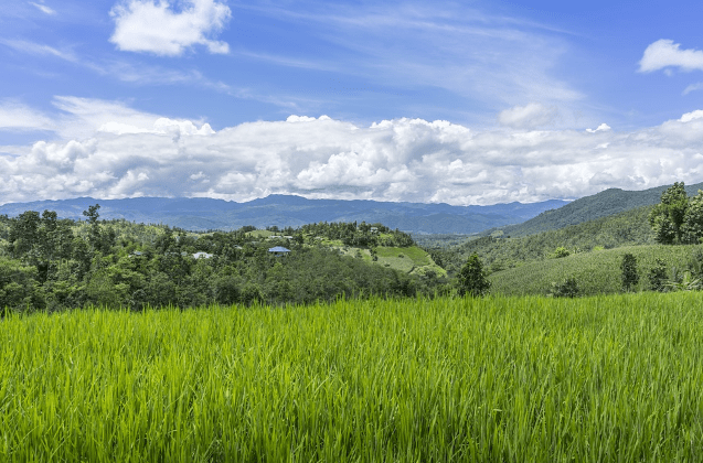 Buying Farmland a Good Investment