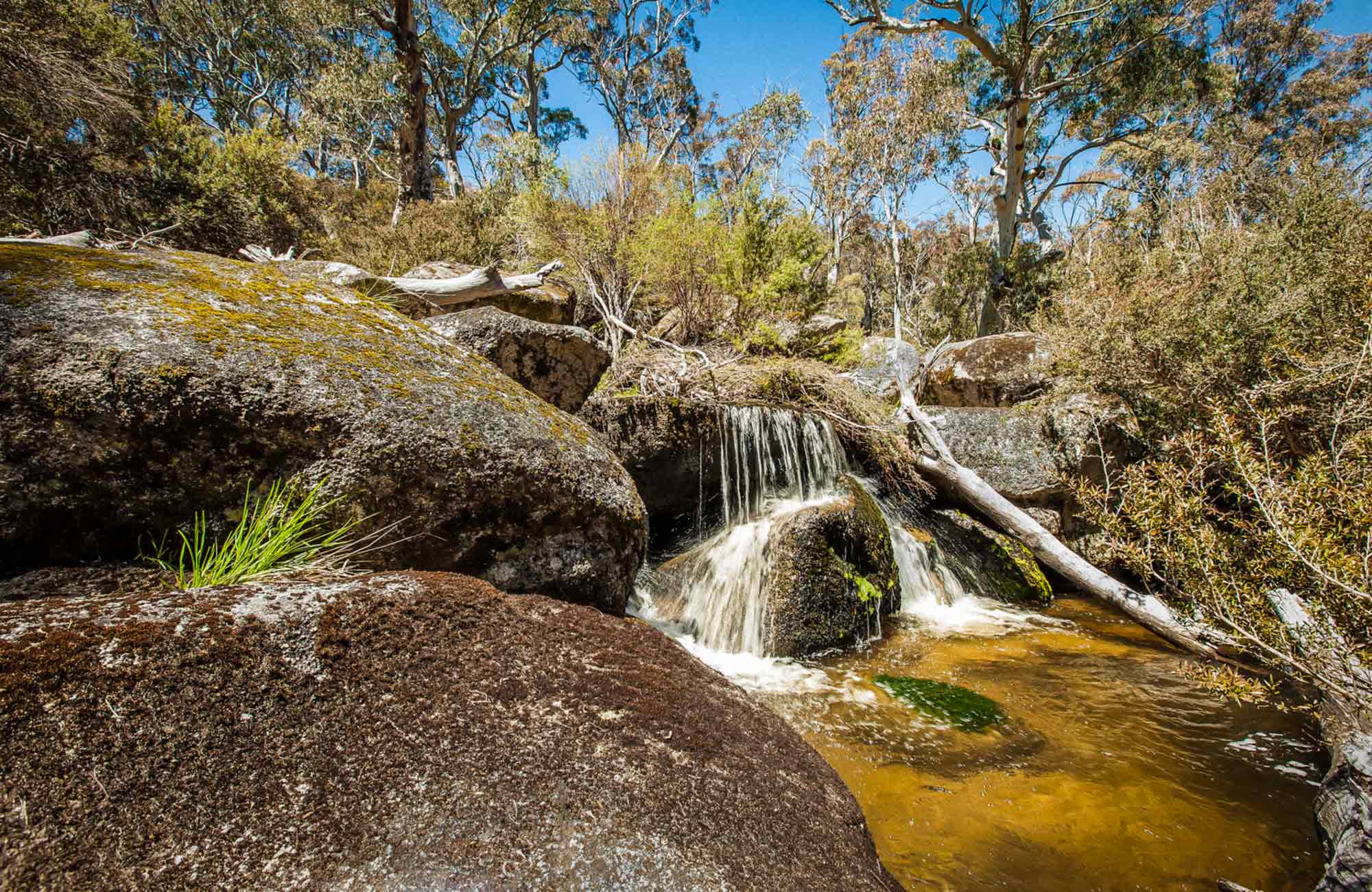 Jindabyne 